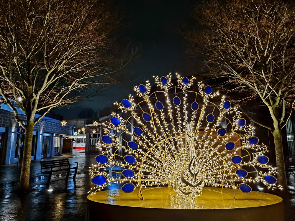 Volop sfeer en gezelligheid tijdens Veluwse Kerstmarkt in Ermelo